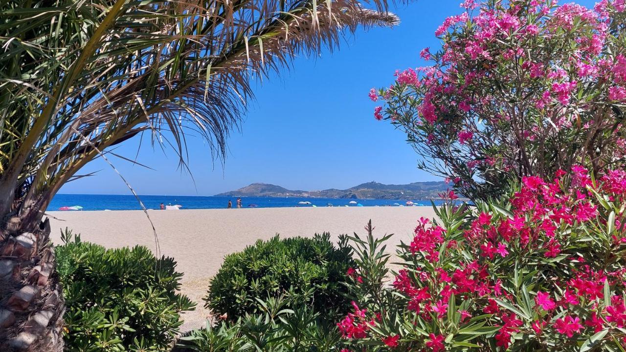 Sur La Plage, Super Studio Avec Vue Sur La Mer Plage dʼArgelès المظهر الخارجي الصورة
