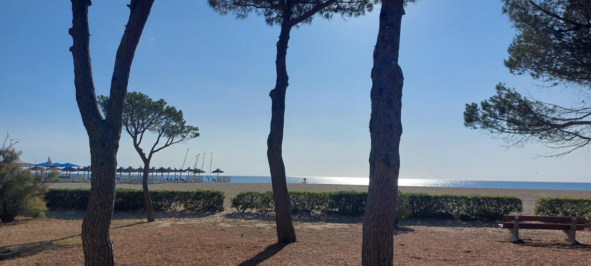 Sur La Plage, Super Studio Avec Vue Sur La Mer Plage dʼArgelès المظهر الخارجي الصورة
